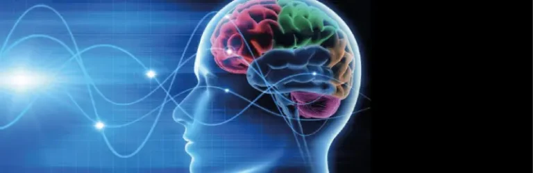 alcohol and the brain long term